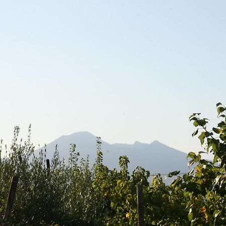 Agriturismo A Do' Cumparone Corbara  Εξωτερικό φωτογραφία