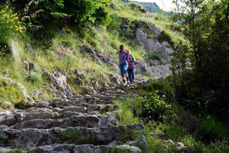 Agriturismo A Do' Cumparone Bed and Breakfast Corbara  Εξωτερικό φωτογραφία