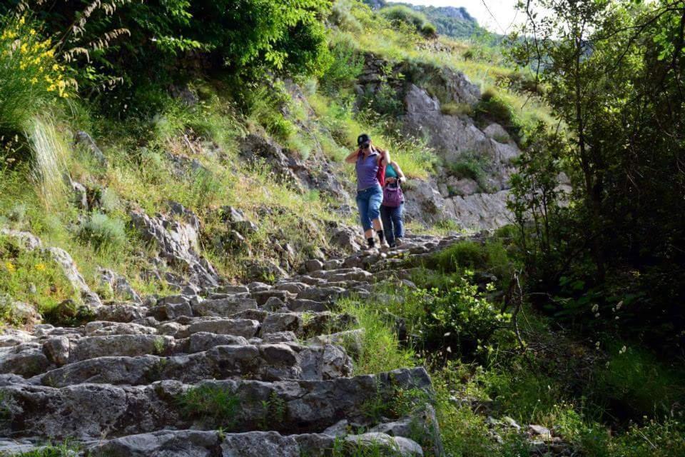Agriturismo A Do' Cumparone Corbara  Εξωτερικό φωτογραφία