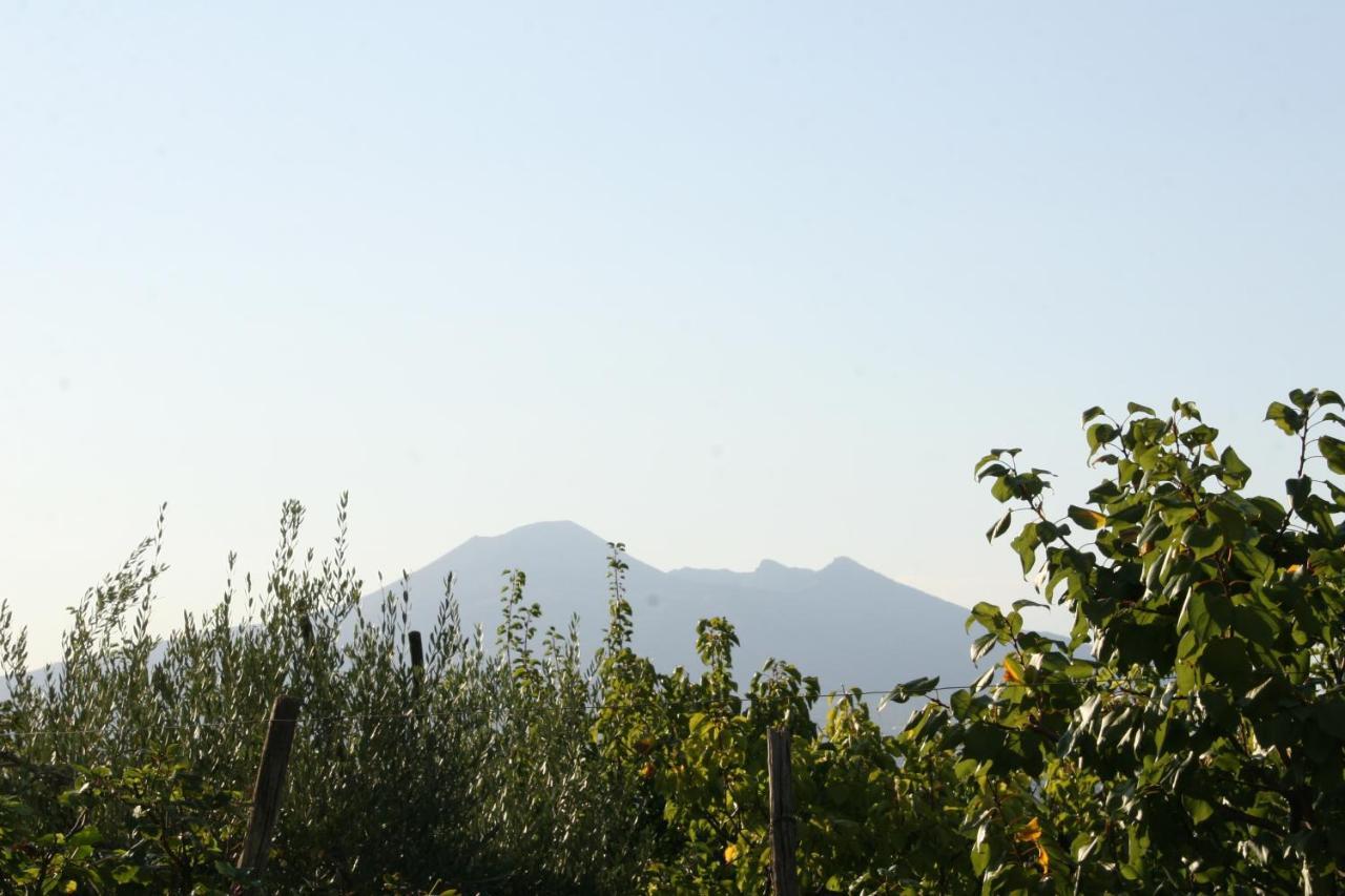 Agriturismo A Do' Cumparone Corbara  Εξωτερικό φωτογραφία
