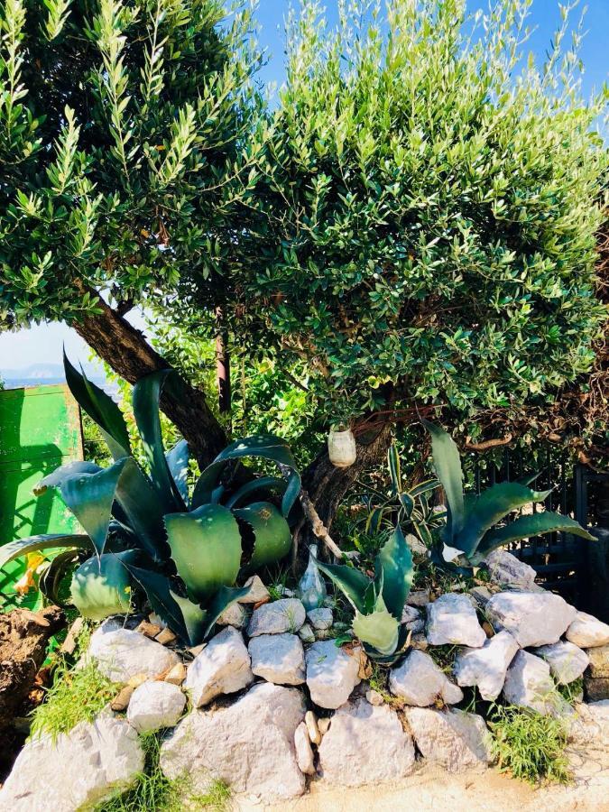 Agriturismo A Do' Cumparone Corbara  Εξωτερικό φωτογραφία